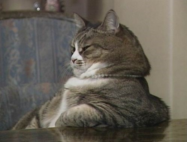 С Днем Рождения!