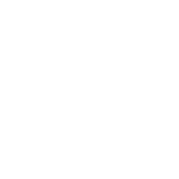 Опыт работы